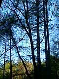 06050301.jpg